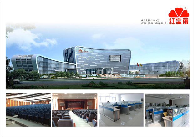 南京紅寶麗公司